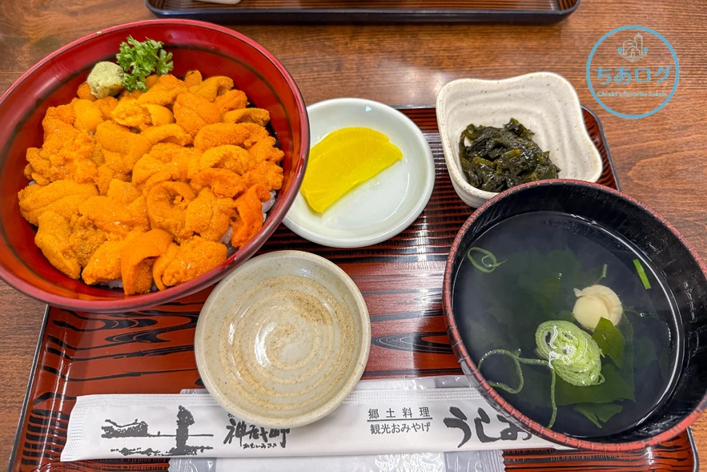 うしお食堂のバフンウニ丼