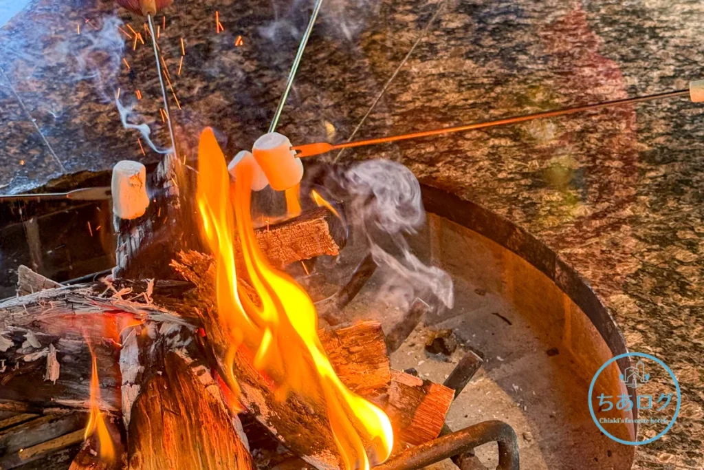 THE KEY HIGHLAND NASU森のキッチン 本物の暖炉の火でマシュマロを焼く体験シーン